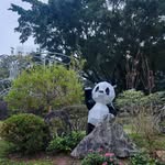 Colin Chow - @colin_chow2 - Instagram