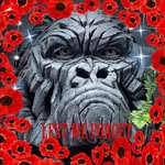 Colin Clarkson - @colinclarkson1111 - Instagram