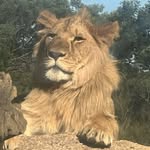 Colin Cleary - @colincleary53 - Instagram