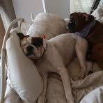 Colin Clinton - Facebook