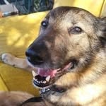 Colin Couch - @couch_colin - Instagram