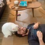 Collin Couch - @collin_sofa - Instagram