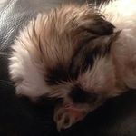 Colin Dean - @colindean8775 - Instagram