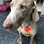 Denis Colin - @denis.colin.186 - Instagram
