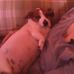 Collin Eggleton - Facebook