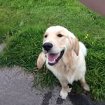 Colin Everett - @everettcolin - Instagram
