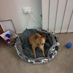 Colin Everett - Facebook