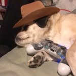 @colin__finley - Instagram
