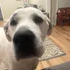 Colin Fitzpatrick - @colin.fitzpatrick2 - TikTok