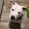 Colin Frederick - @colin.frederick - TikTok