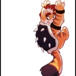 Collin Geiger - @ac_dc_meow - Instagram