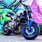 Colin Gibbons - @gibbs1n23456 - Instagram