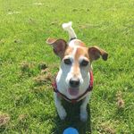 Colin Gibbons - @gibbo_1971 - Instagram