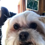 colin goldman - @colinj.g - Instagram