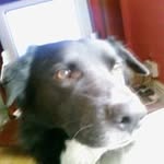 Colin Good - @colin.good2 - Instagram