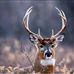 Collin Grady - Facebook
