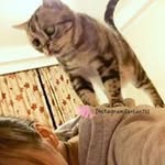 Colin Grattan - @colin_grattan_k3yb - Instagram