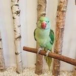 Colin Gregory - @colin.gregory.1671 - Instagram
