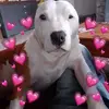 colinlegrice161 - @colinlegrice161 - TikTok
