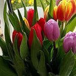 Colin Griffiths - @colin.griffiths.5099 - Instagram
