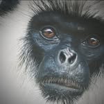 Colin Griffiths - @colin.griffiths.792 - Instagram