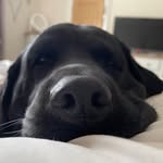 Colin Grigson - @oracle47744774 - Instagram