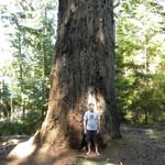Colin Grover - @colin.grover.1276 - Instagram