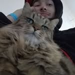Colin Guzman - @gethighkr - Instagram