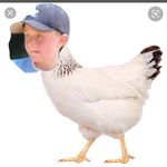 Colin Hackett - @chickencolincc - Instagram