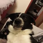 Colin Haggerty - @colin.haggerty.98 - Instagram