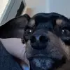 colin - @colin.halvorson - TikTok