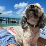 Colin - @colin.handlon - Instagram