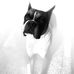 Colin Hand - Facebook