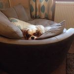 Colin Hardman - @colin.hardman.92 - Instagram