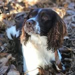 Colin Hardy - @colinhardy64 - Instagram