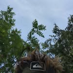 Colin Henning - @colhenning - Instagram