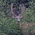 Colin Hodgson - @colin.hodgson.1447 - Instagram