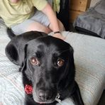 Colin Holden - Facebook