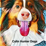 Colin Hunter Dogs LLC - @colinhunterdogs - Instagram