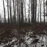 Colin Jensen - @jensenjo35 - Instagram