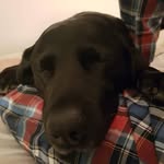 Colin Keating - @col.k64 - Instagram