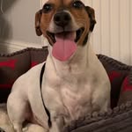 Colin Kyle - @colin_kyle500 - Instagram