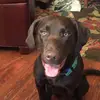 kylecolin930 - @kylecolin930 - TikTok