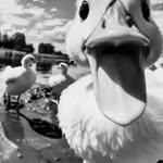 @colin_larsson10 - Instagram