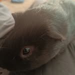 colin Larsson - @colin521605 - Instagram