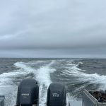 Colin Legge - @colinlegge - Instagram