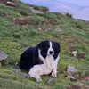 Colin Leighton - @colin.leighton54 - TikTok