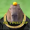 colin & leon - @the.broters.life - TikTok