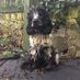 Colin Leslie - Facebook
