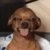 ColinLindsey - @lucincife5n - TikTok